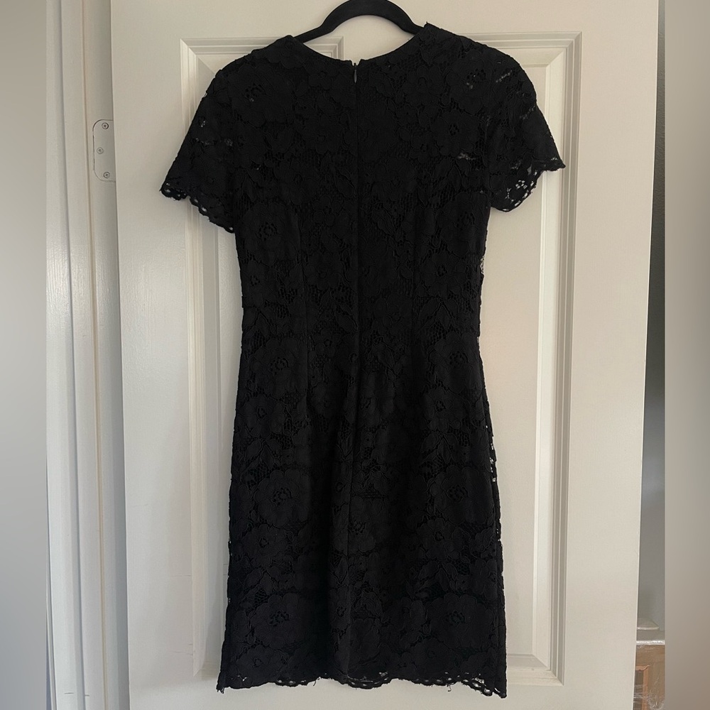 Lauren Ralph Lauren Corded Lace Cocktail Dress - Picture 9 of 9